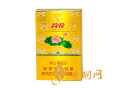 钻石新一品荷花和金一品荷花的区别在哪里