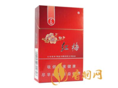 红梅硬春价格及口感 红梅系列的后起之秀！