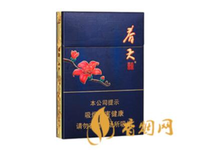 双喜春天中支多少钱一包 双喜春天中支香烟价格表图一览