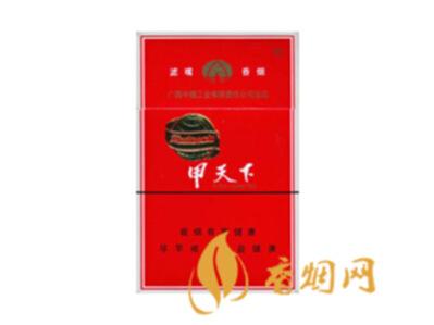 甲天下香烟价格表图 甲天下香烟多少钱一包