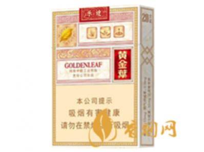 黄金叶乐途中支价格 黄金叶乐途中支烟多少钱一包
