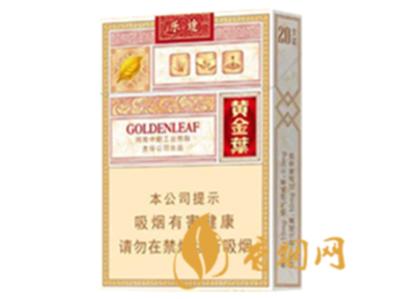 河南黄金叶香烟价格表和图片 河南黄金叶价格多少
